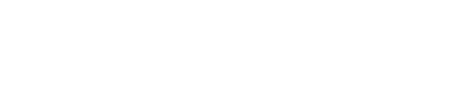 Logo de Phonix Network en blanco